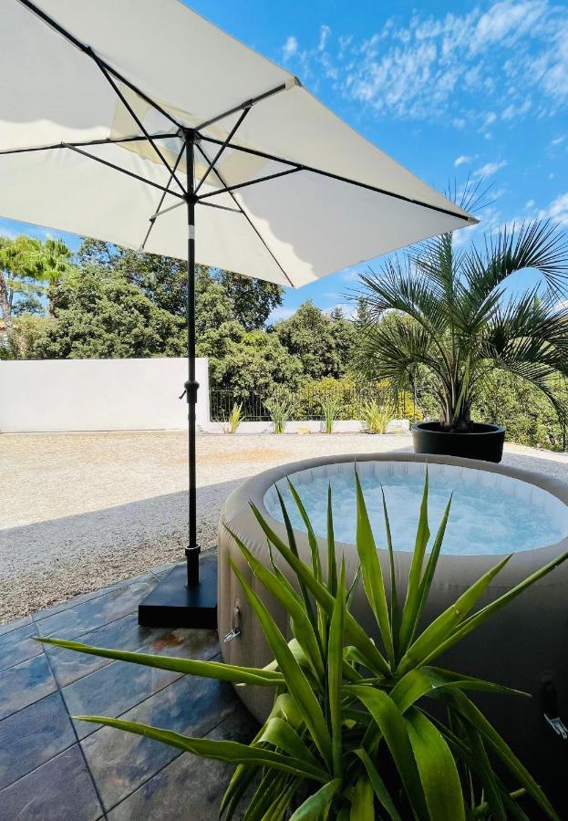 Villa Les Oliviers Spa Privatif Bandol Bagian luar foto